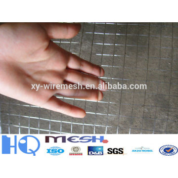 hot sale welded wire mesh/welded square wire mesh/welded mesh for corn